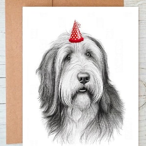 Carte de voeux d'anniversaire/Carte de correspondance pour chien colley barbu (peut être personnalisée)