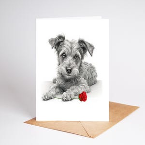 Jack Russell Jackapoo (no. 5) terrier dog Love Card Valentines, Anniversary, Wedding Card art Greetings/Note Card (can be personalised)