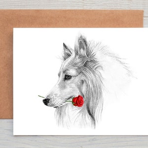 Rough Collie (nr 1) Karta miłosna Karta walentynkowa Karta rocznicowa Karta ślubna Sztuka Karta z pozdrowieniami/notatkami (można spersonalizować)