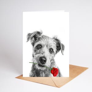 May include: A greeting card featuring a black and white pencil-style drawing of a scruffy terrier-type dog looking forward with a bright red rose held gently in its mouth. The card is positioned upright against a plain white background.