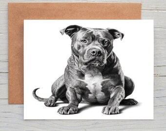 Staffordshire Bull Terrier staffie,staffy (no.11) dog art  Greetings/Note Card (can be personalised)