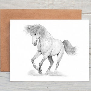 Tarjeta de felicitación/nota/impresión (se puede personalizar) con el dibujo de un caballo semental blanco