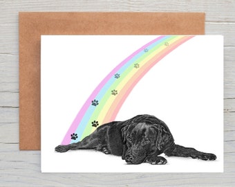 Pode incluir: Um cão Labrador Retriever preto deitado com um arco-íris acima dele. O arco-íris tem pegadas de patas ao longo.