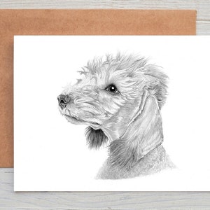 Bedlington Terrier Beddy Whippet lurcher dog art Greetings/Note Card/Print (can be personalised)