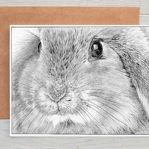 Lop Eared Kaninchen bunny bunny in a box art Grüße / Grußkarte / Druck