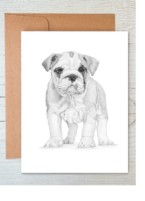 Bulldog Note Card Bulldog Note Card