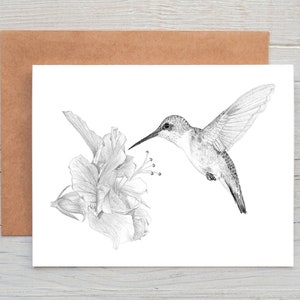 Carte de voeux/carte de correspondance/impression Colibri (peut être personnalisé)