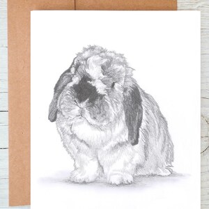 Lop Eared Rabbit bunny (No.2)  art Greetings/Note Card/Print (can be personalised)