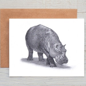 Hippopotamus. Hippo art  Greetings/Note Card/Print (can be personalised)