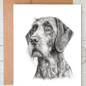 May include: A black and white pencil drawing of a dog's head. The dog has a long snout, floppy ears, and a scruffy beard. The dog is looking up and to the right.