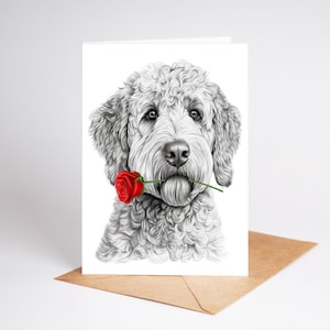 Golden Doodle dog Love Card, Valentines Card, Anniversary Card, Wedding Card art Greetings/Note Card (can be personalised)