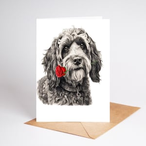 Peut inclure: Une carte de vœux présentant une illustration au fusain en noir et blanc d'un chien aux poils bouclés tenant une rose rouge vif dans sa gueule. Le chien porte un collier sombre avec une petite médaille, posée sur une enveloppe en papier kraft.