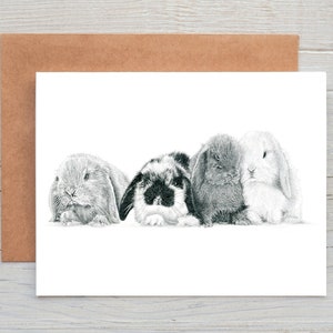 Coelho de orelhas caídas bunnie chums arte saudações/cartão de nota/impressão (pode ser personalizado)