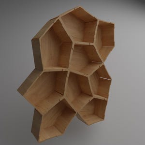 Può includere: Un'originale mensola da parete in legno geometrica con molteplici scomparti di forma irregolare. La mensola è costruita in legno chiaro, che mostra la venatura naturale. Il design è moderno e artistico, adatta per esporre oggetti decorativi.