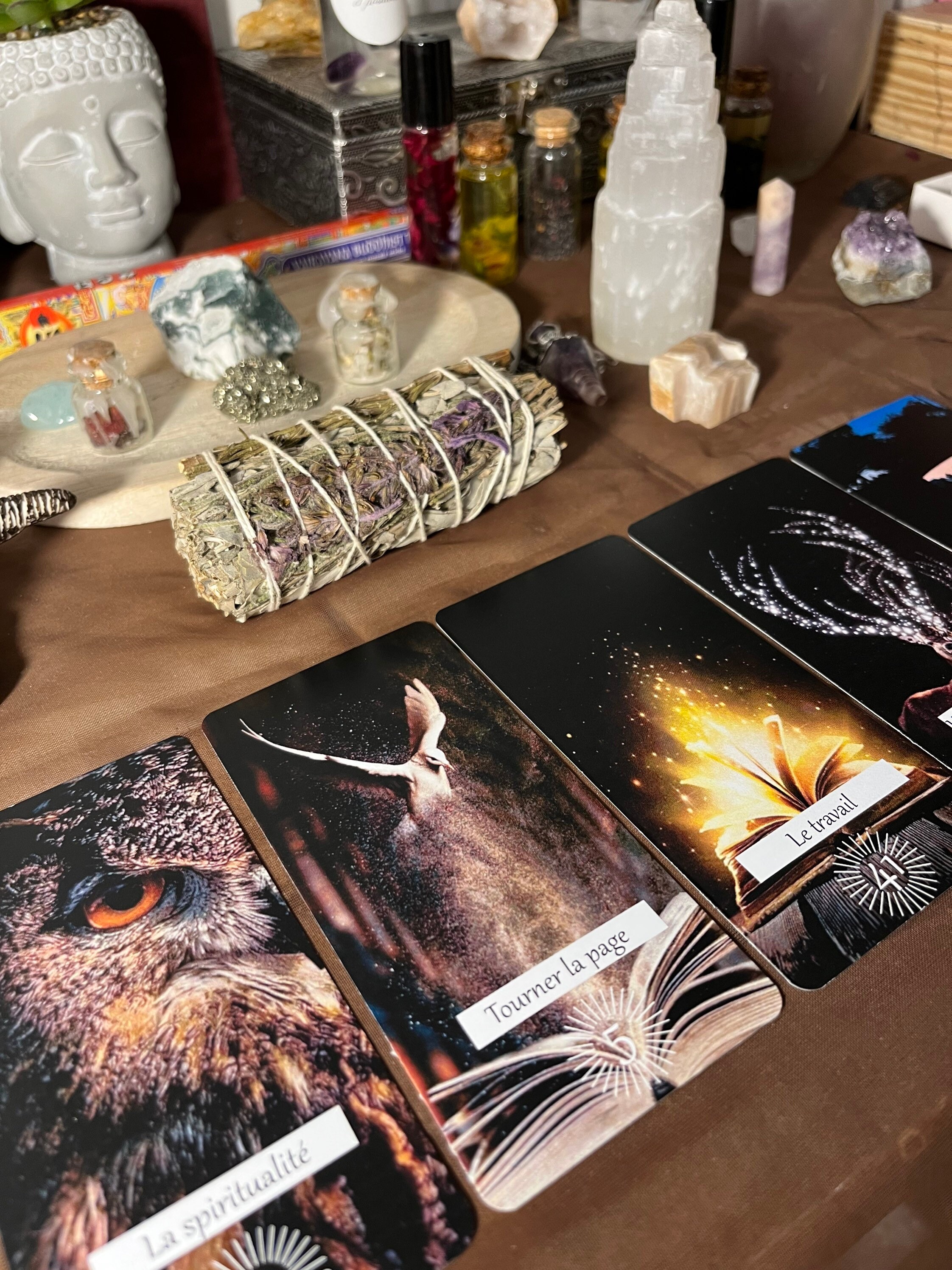 Consultations Privées Générales, Professionnelles et Sentimentales