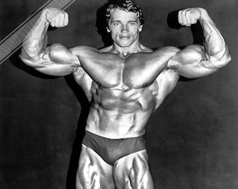 アーノルドシュワルツネッカー 大きい写真 604 シュワルツェネッ