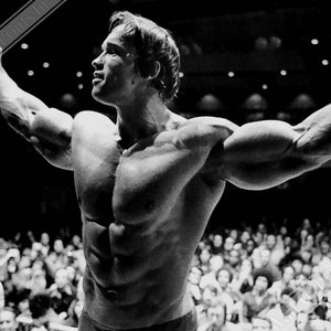 Arnold Schwarzenegger Poster, Seven Time Mr Olympia, Vintage Photo Porträt, Arnold Schwarzenegger Druck - UK, EU, USA