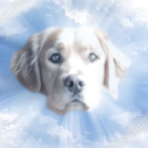 Poster commemorativo personalizzato con ritratto di cane celeste, stampa commemorativa per animali domestici da foto