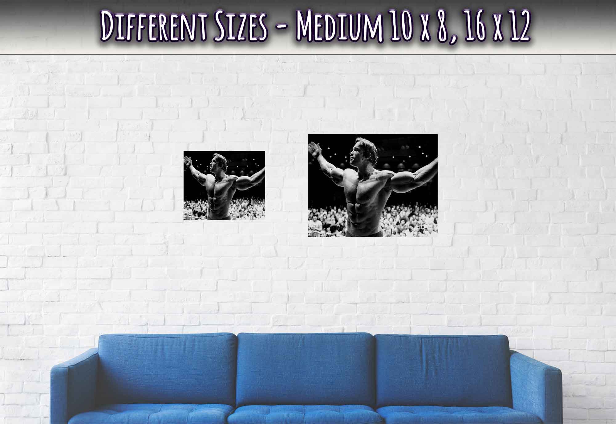 Arnold Schwarzenegger Mr Olympia Poster: Vintage Bodybuilding