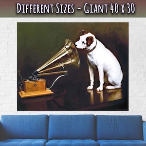 May include: A white dog with brown ears sits listening to a vintage gramophone with a large, golden horn. The dog is looking intently at the horn. The gramophone is on a wooden table with a dark brown surface. The background is a dark green color.