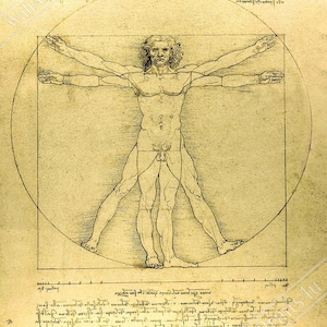 Vitruvian Man Print, Leonardo Da Vinci 1490, Vintage Vitruvian Man Poster Print UK, EU USA Domestic Shipping