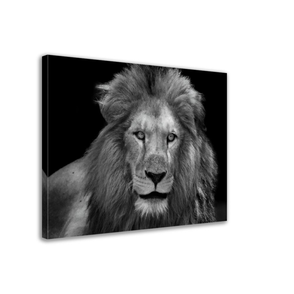 Black and White Lion Canvas Print Giant Lion Canvas Epic Lion Etsy