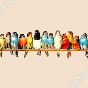 Póster "Percha de pájaros", impresión vintage de Hector Giacomelli - Impresión "Percha de pájaros", envíos nacionales a Reino Unido, UE y EE. UU.