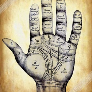 May include: A vintage illustration of a hand with lines and symbols representing palmistry. The hand is labelled with the names of planets and lines such as "Line of Heart", "Line of Head", "Line of Life", and "Girdle of Venus".
