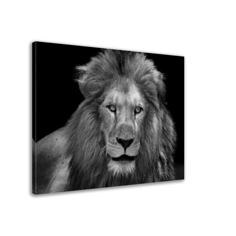 Black and White Lion Canvas Print Giant Lion Canvas Epic Lion Etsy