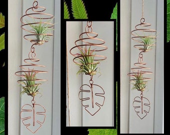 Air Plant Hanger