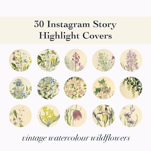 30 wildflower Instagram story highlight covers Nature IG highlight covers Wild flower social media icons Floral boho Instagram covers