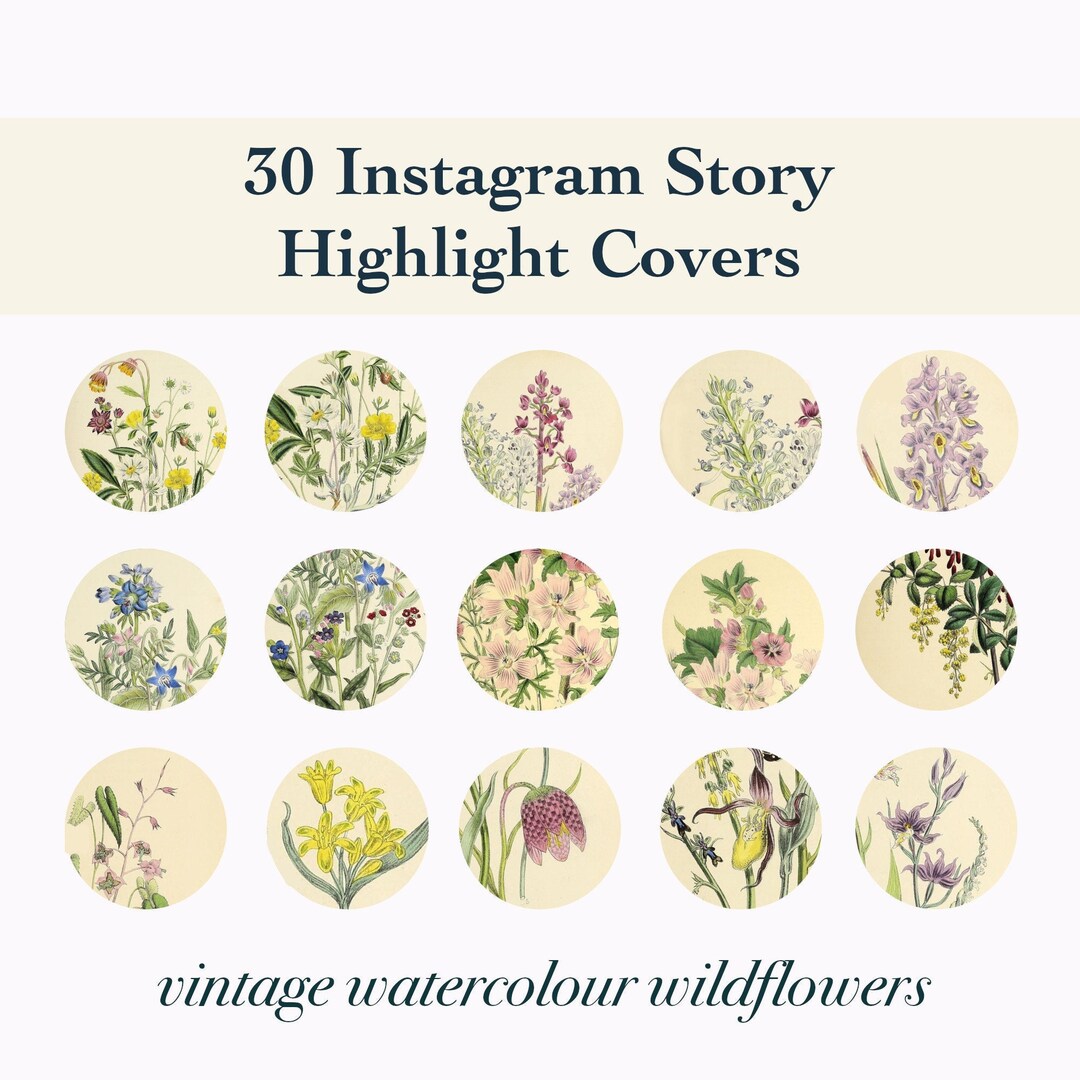 30 Wildflower Instagram Story Highlight Covers Nature IG Highlight