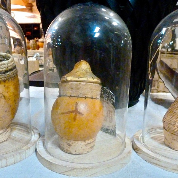 Cloche en verre petit modèle pour présentation de curiosités sur socle en bois