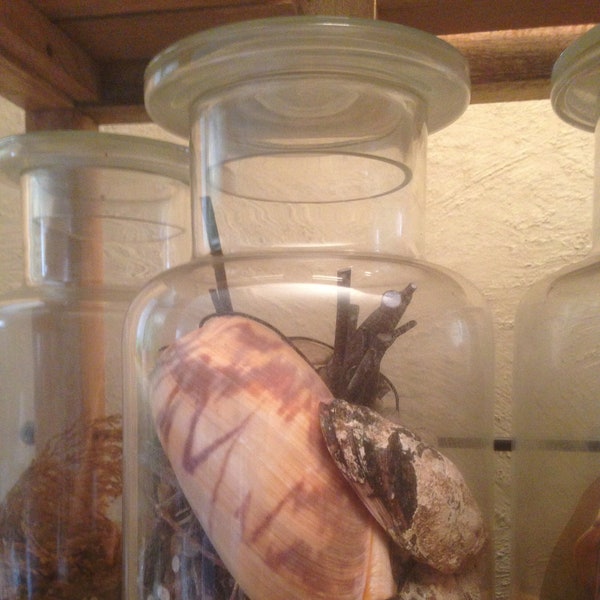 Bocaux d'apothicaire en verre avec bouchon en verre, brocante Française, 2 options