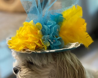 Fancy Derby hat Blue and yellow