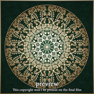 Borboletas - Mandala - Versão digital - Gravação holográfica - Cinco variações