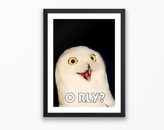 O RLY - Classic Meme Poster | Nostalgic Internet Meme Prints