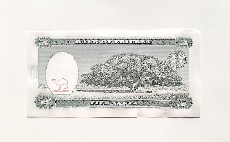 Eritrea Banknote 5 Nakfa Uncirculated Condition Authentic Collectible ...