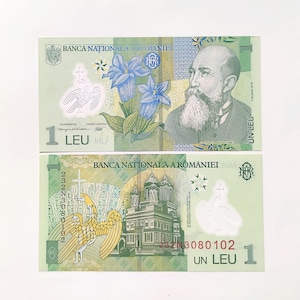 May include: Two Romanian 1 Leu banknotes. The top bill features a portrait of a man with a long beard, blue flowers, and a bird emblem. The bottom bill shows a church, a bird, and the text "UN LEU".