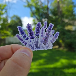 Pegatina de lavanda con acuarela / Pegatina de flores / Pegatina para portátil / Pegatina para botella de agua / Pegatina para diario / Pegatina de planta / Pegatina de naturaleza