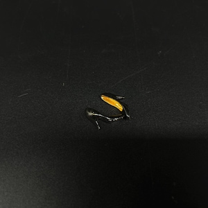 Miniature Black High Heels – 1:12 Scale Dollhouse Shoes – Elegant Tiny Shoes with Gold Interior