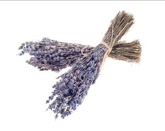 Dried French Lavender Bundles by Seattle Seed Co