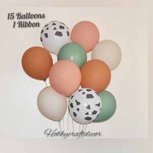 Cow Girl Balloon Garland Kit Giddy Up Garland Cow Girl Etsy