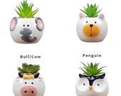Set of 4 - Cute Elephant Bear Cow Penguin Planter, Animal Planter, Succulent Planter, Flower Pot, Air Planter, Gift