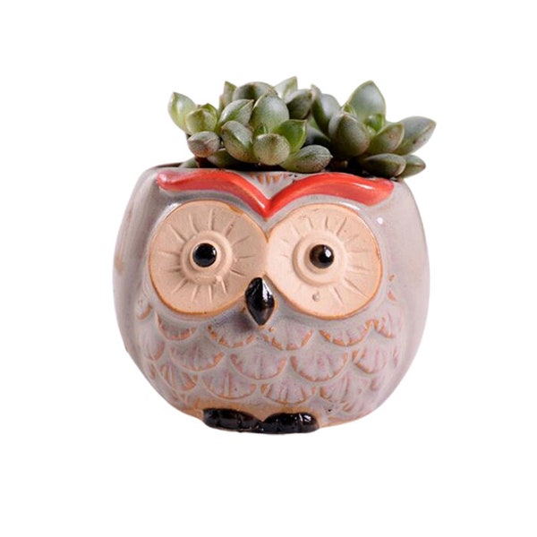 Cute Brown Owl succulent and cacti planter.  Unique animal planter pot.  Small mini cactus planter.