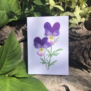 5 tarjetas ecológicas de flores