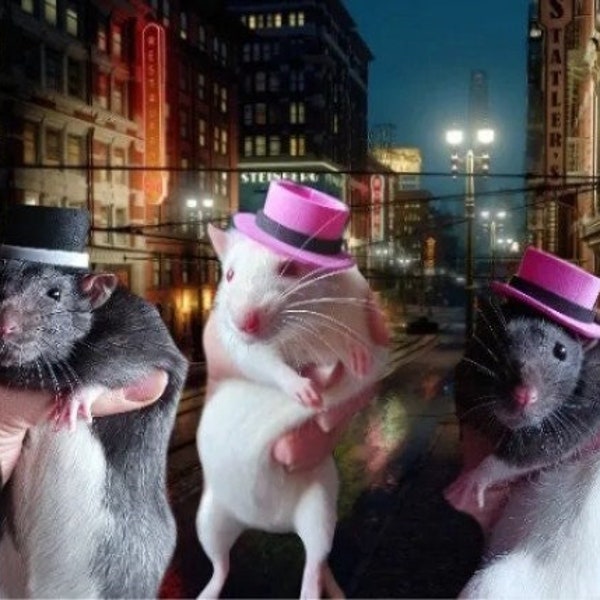 Fedora costume party top hat. XXS to XL. From hamsters to dogs and everyone in between!