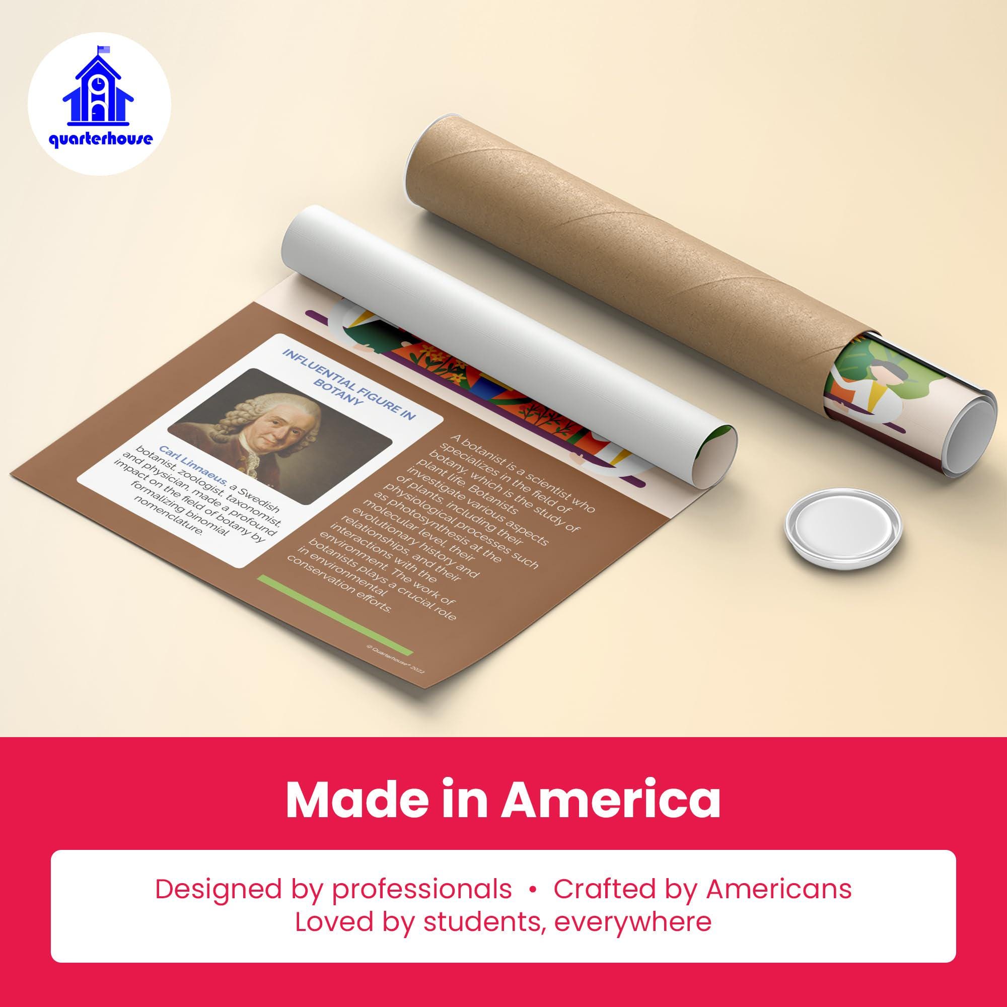 Quarterhouse Careers in Science Poster Set, Science Classroom Learning ...