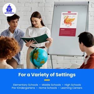 Quarterhouse Human Body Organs and Functions Poster Set, Science Classroom Learning Materials for K-12 Students and Teachers, Set of 7,... image 6