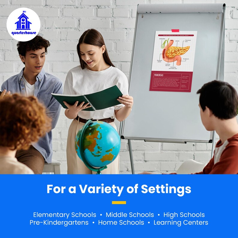 Quarterhouse Human Body Organs and Functions Poster Set, Science Classroom Learning Materials for K-12 Students and Teachers, Set of 7,... image 6